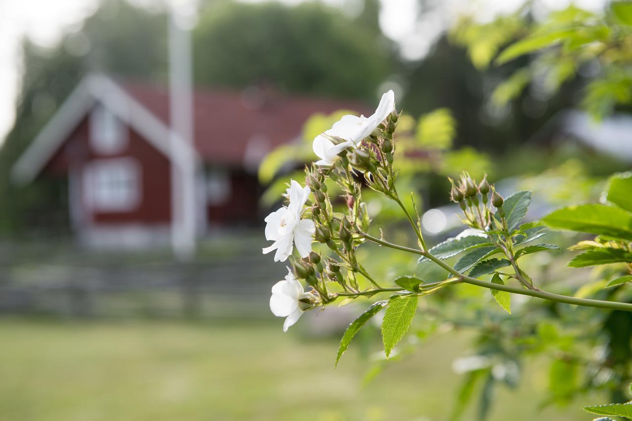 Modal Annex Hultsfred Eksteriør billede